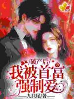 破产后，我被首富强制爱