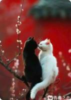 老公将白月光带回家后，我跑了