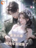 重生六零，嫁高冷军官团宠了