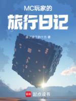 MC玩家的旅行日记