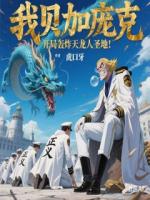 我贝加庞克，开局轰炸天龙人圣地