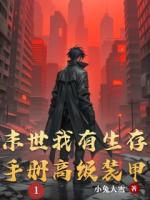 末世我有生存手册高级装甲