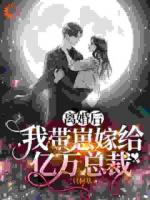 离婚带崽闪婚，老公竟是财阀大佬