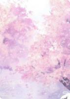 夫君他娶平妻后，我飞升了