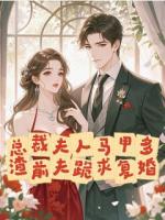 总裁夫人马甲多，渣前夫跪求复婚