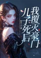 儿子死后，我覆灭豪门