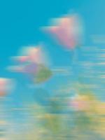 重生：哥哥让我的crush治屁股疼