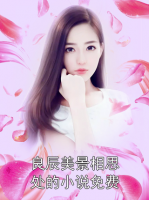 良辰美景相思处的小说免费