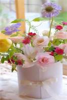 盗墓直播：我就是无邪