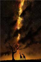 傅少，你家小作精又虐渣了