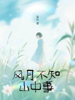 风月不知山中事