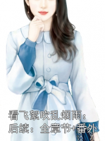 看飞絮吹乱烟雨：后续：全章节+番外