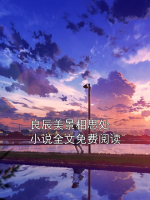 良辰美景相思处小说全文免费阅读