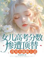 女儿高考分数惨遭顶替，我用功勋换公道