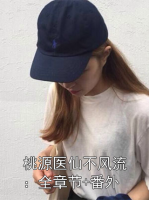 桃源医仙不风流：全章节+番外