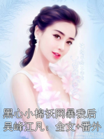 黑心小棉袄网暴我后吴峰江凡：全文+番外