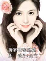 折寒枝簪起霜思：番外+全文