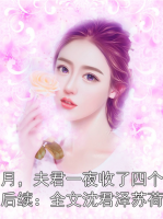 怀胎八月，夫君一夜收了四个丫鬟当通房：全文沈君泽苏荷裴言澈