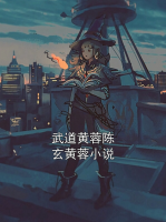 武道黄蓉陈玄黄蓉小说