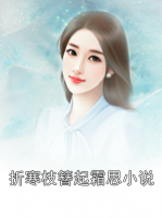 折寒枝簪起霜思小说