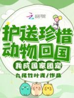 护送珍惜动物回国，我成国家团宠