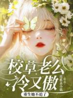 段靳珩许岁梨校草