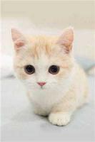 回到妻女入狱前，这一世我要翻盘