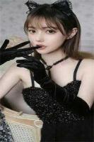 精灵签到：我开局埋伏洛奇亚