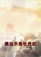 鬓边不是牡丹红