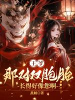 王爷，那对双胞胎长得好像您啊