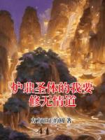 炉鼎圣体的我要修无情道
