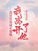 流星坠落成火那晚，我离开了他