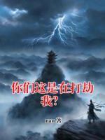 你们这是在打劫我？