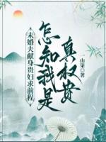 未婚夫献身贵妇求前程，怎知我是真权贵