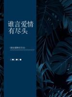 谁言爱情有尽头