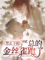 禁止下跪！严总的金丝雀跑了