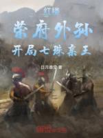 红楼：荣府外孙，开局七珠亲王