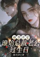 抽签决定谁陪总裁老公过生日