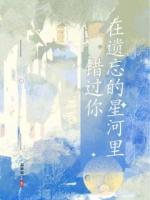 在遗忘的星河里错过你