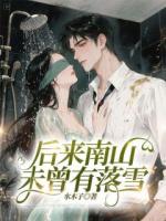 后来南山未曾有落雪
