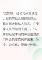 被开除后，我成了前公司的甲方