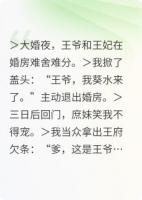 侧妃难当？我靠讨债逆袭封地