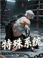 特殊系统
