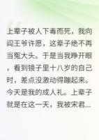 养子偷走了我的人生