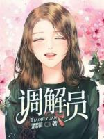 调解员