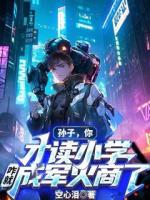 孙子，你才读小学，咋就成军火商了