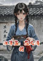 血算盘：盐火清册