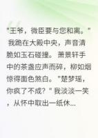 重生侧妃要和离，王爷悔断肠