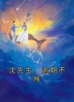 沈先生，逾期不候