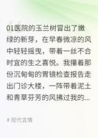 完美婚约，谢先生你老婆跑了